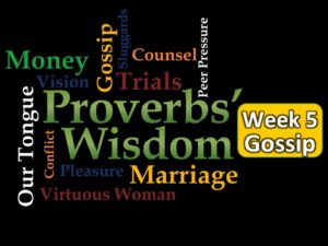 Proverbs Week 5